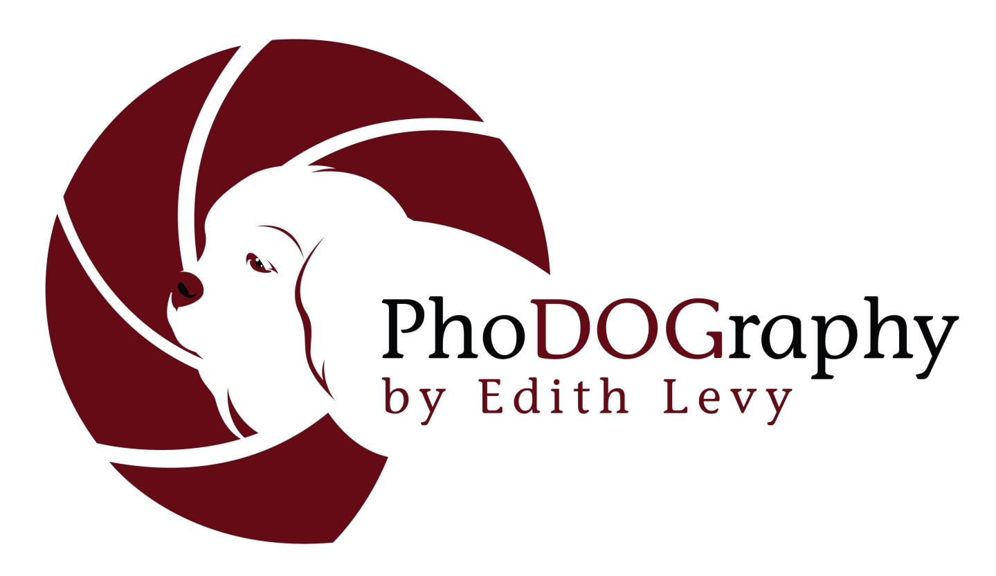 pet photography, PhoDOGraphy by Edith Levy, logo, Toronto Pet Photographer
